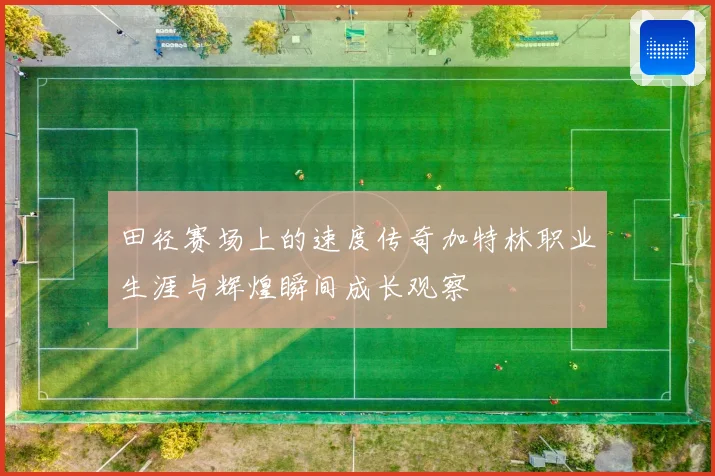 田径赛场上的速度传奇加特林职业生涯与辉煌瞬间成长观察